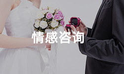 挽回感情、情感咨询